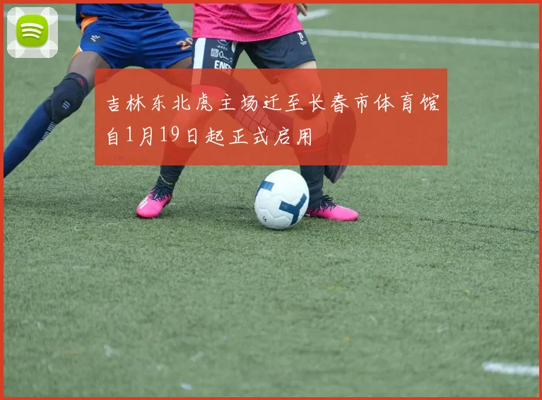 吉林东北虎主场迁至长春市体育馆自1月19日起正式启用